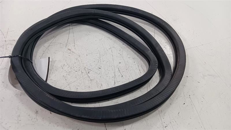 Dodge Dart On Body Door Jamb Seal Front Right Passenger  2013 2014 2015 2016