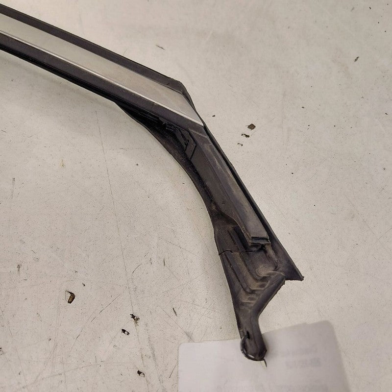 Kia Sorento Door Glass Window Seal Rubber Right Passenger Front  2018 