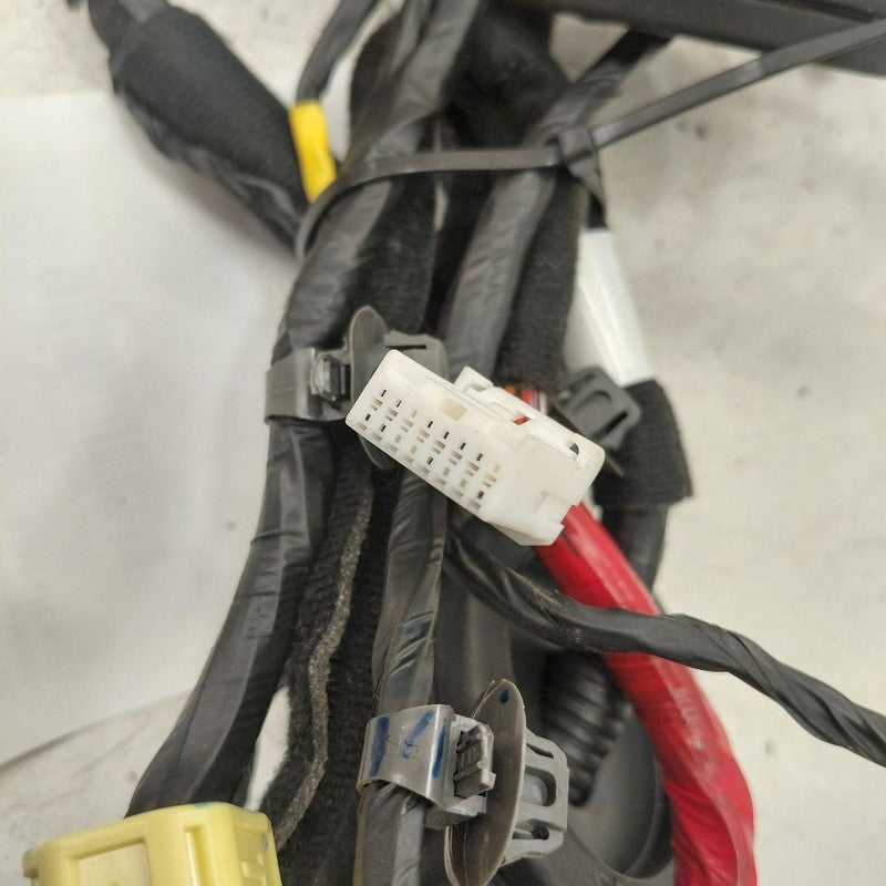 Hyundai Santa Fe Door Harness Wire Wiring Left Driver Front  2019 2020
