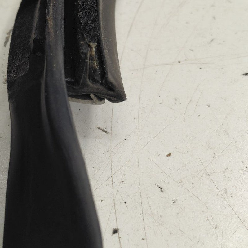 Volvo S60 Door Glass Window Seal Rubber Left Driver Rear Back  2018 20
