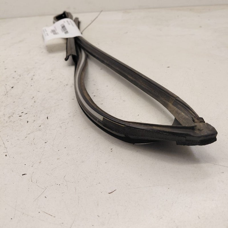 Honda CR-V Door Glass Window Seal Rubber Right Passenger Front  2019 2