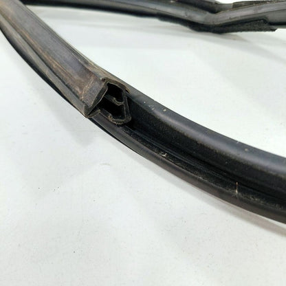 Chrysler 300 Door Glass Window Seal Rubber Left Driver Front  2017 201