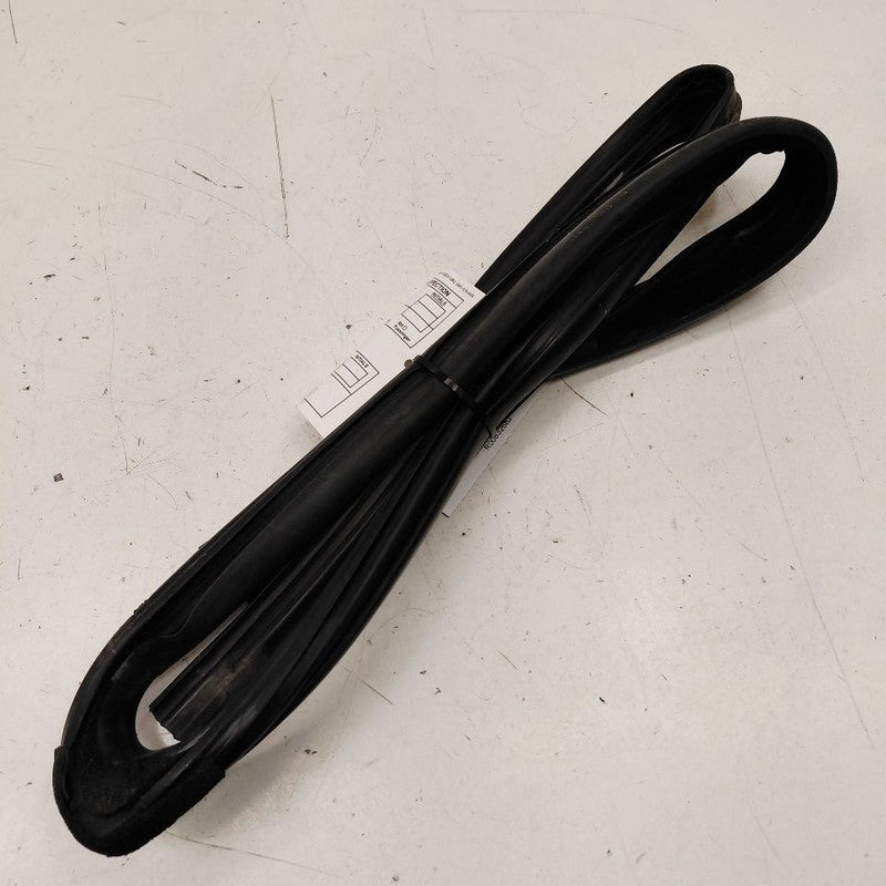 Ford Ecosport Door Glass Window Seal Rubber Right Passenger Rear Back 
