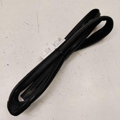 Ford Ecosport Door Glass Window Seal Rubber Right Passenger Rear Back 