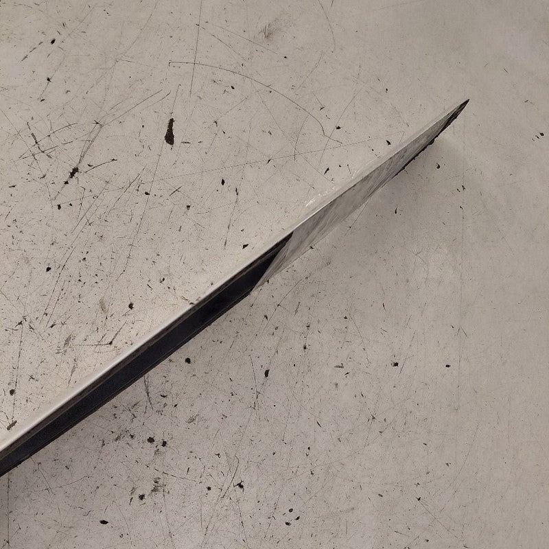 Honda CR-V Door Molding Trim Strip Left Driver Side Rear Back  2019 20