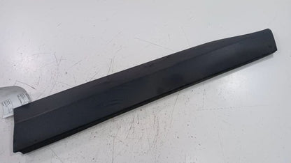 Toyota Rav 4 Door Molding Trim Strip Right Passenger Side Front  2019 