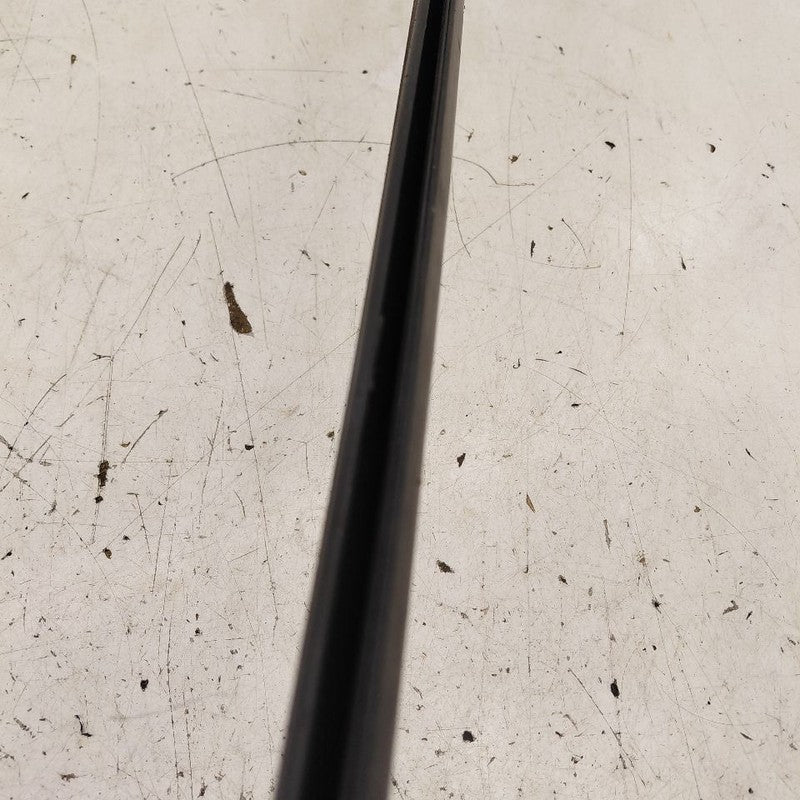 Chevy Trax Door Glass Window Weather Strip Trim Front Left Driver  202