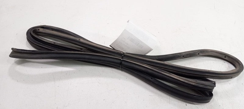 Dodge Dart On Door Seal Rubber Right Passenger Front 2013 2014 2015 20