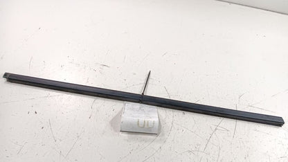 Honda Insight Door Glass Window Weather Strip Trim Front Right Passeng