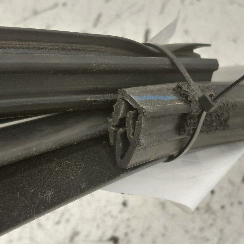 Ford Edge Door Glass Window Seal Rubber Left Driver Front  2018 2017 2