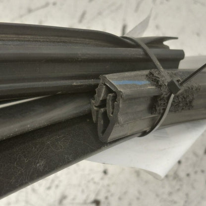 Ford Edge Door Glass Window Seal Rubber Left Driver Front  2018 2017 2