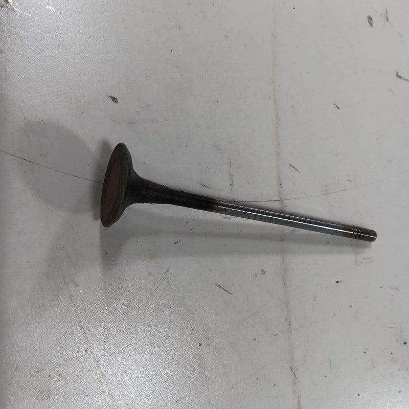 Jeep Compass 2.4 Cylinder Head Exhaust Valve 2017 2018 2019 2020 2021 2022 2023