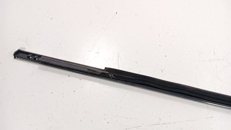 Buick Lacrosse Door Glass Window Weather Strip Trim Front Right Passenger 2016 