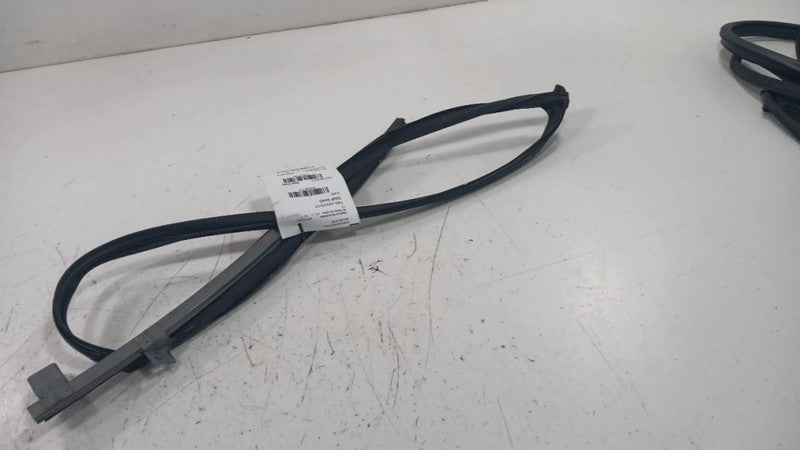 Honda Civic Door Glass Window Seal Rubber Right Passenger Front  2016 