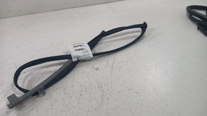 Honda Civic Door Glass Window Seal Rubber Right Passenger Front  2016 