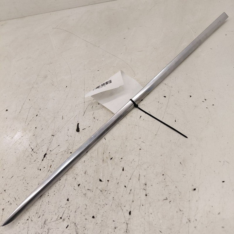 Cadillac CT6 Door Molding Trim Strip Right Passenger Side Rear Back  2