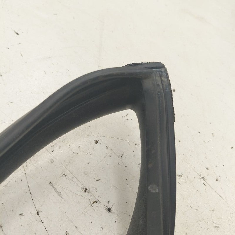 Kia Sportage Door Glass Window Seal Rubber Right Passenger Rear Back  
