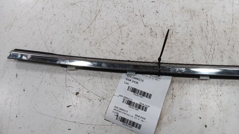Buick Encore Door Glass Window Weather Strip Trim Rear Left Back  2013
