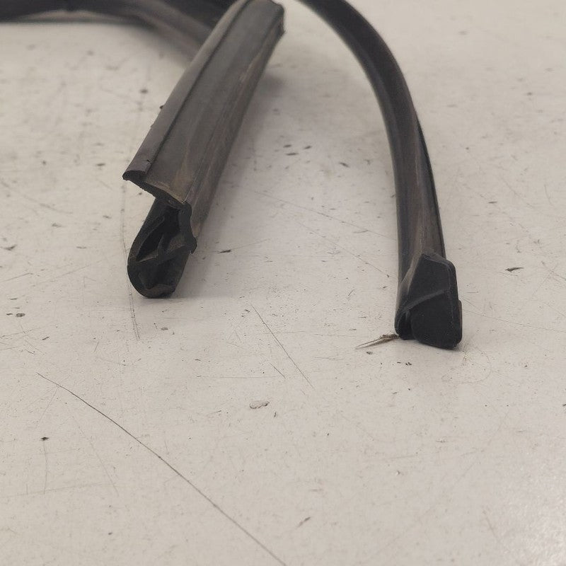 Kia Sorento Door Glass Window Seal Rubber Left Driver Rear Back  2018 
