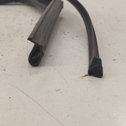 Kia Sorento Door Glass Window Seal Rubber Left Driver Rear Back  2018 