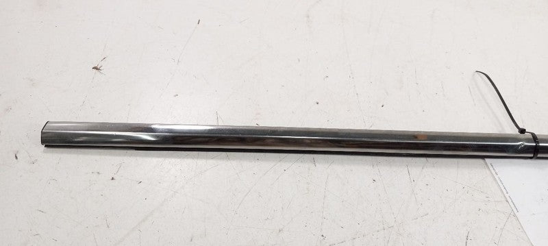 Hyundai Sonata Door Glass Window Weather Strip Trim Front Left Driver 