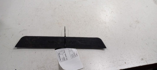 Hyundai Santa Fe Sill Trim Plate Door Jam Threshold Right Passenger Rear 2017 20