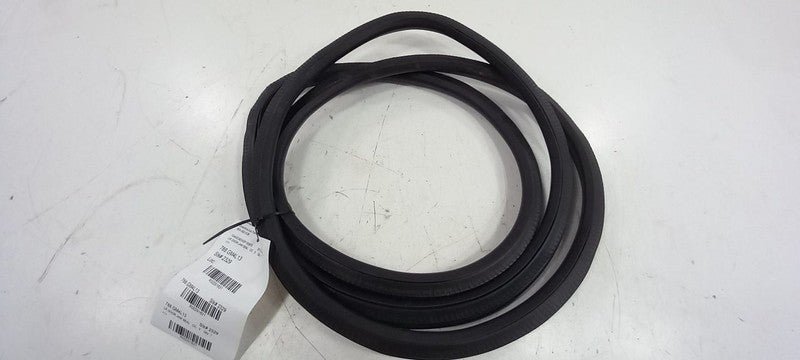 Buick LaCrosse On Body Door Jamb Seal Rear Left Back 2010 2011 2012 2013 