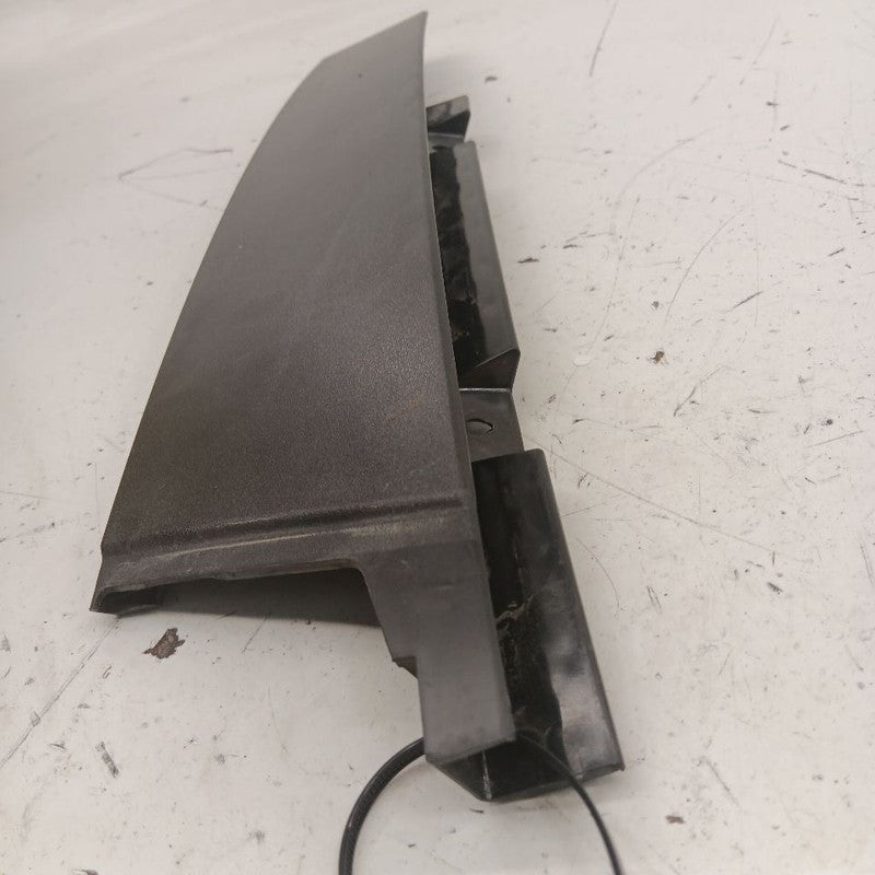Chevy Volt Passenger Right Front Door Applique {23323964} 2019 2018 20