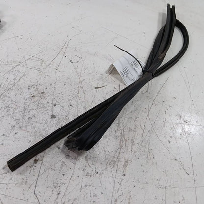 Legacy Outback Door Glass Window Seal Rubber Left Rear Back  2015 2016