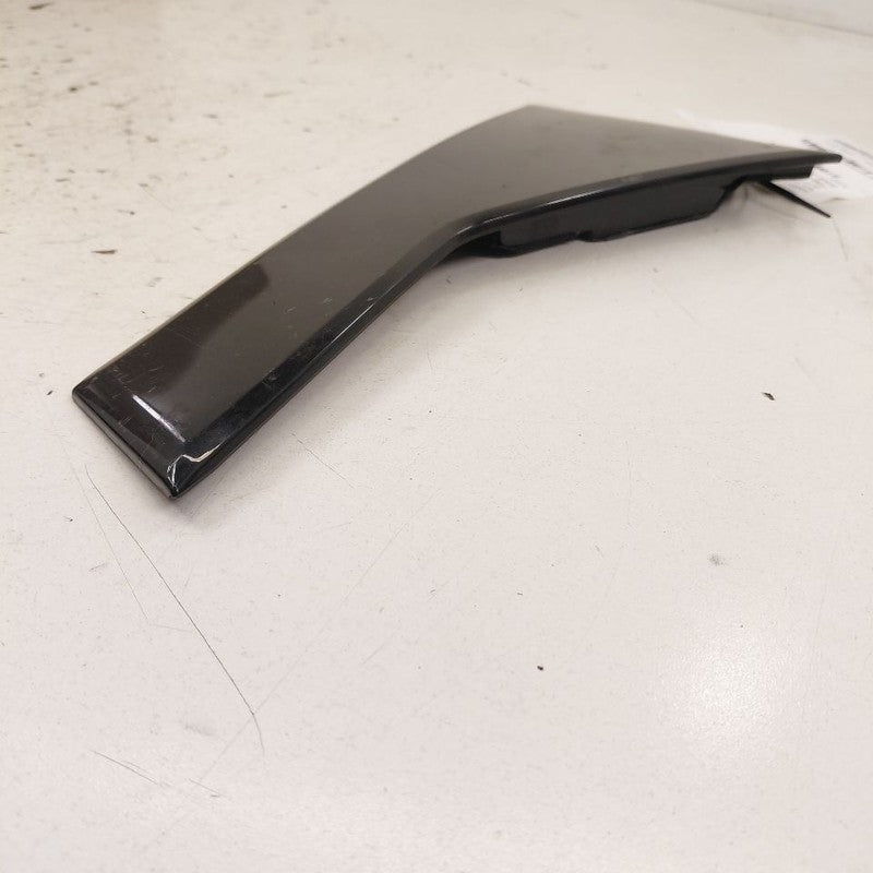 Hyundai Santa Fe Left Rear Door Applique {83270S1000} 2019 2020
