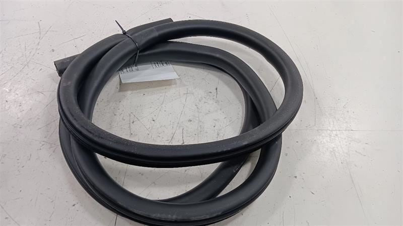 Ford Escape On Body Door Jamb Seal Rear Left Back  2020 2021 2022 2023