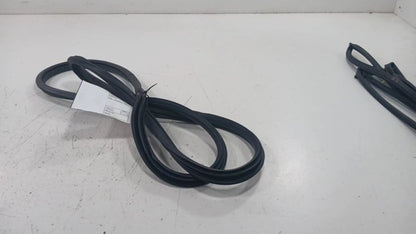 Honda Civic On Body Door Jamb Seal Rear Left Back  2016 2017 2018 2019