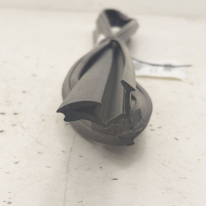 Kia Sportage Door Glass Window Seal Rubber Right Passenger Rear Back  