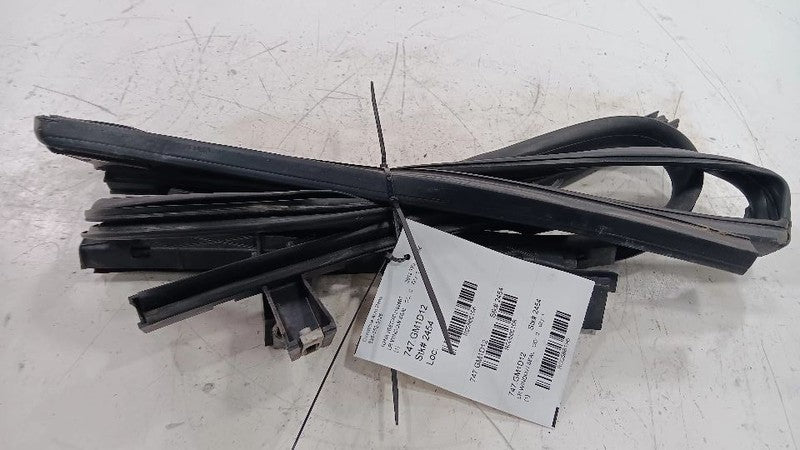 Chevy Traverse Door Glass Window Seal Rubber Left Rear Back  2010 2011