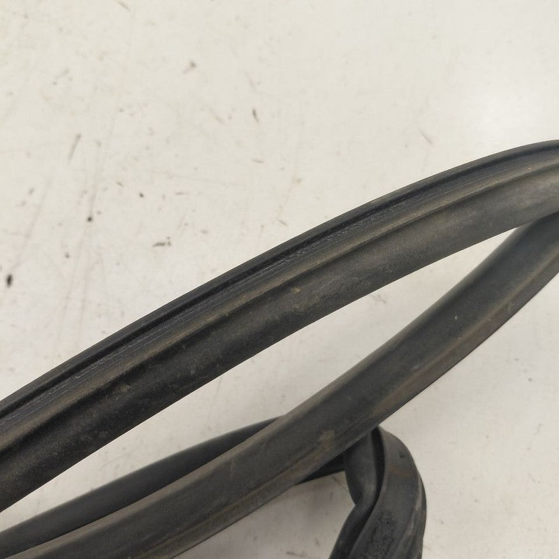 Honda Clarity On Door Seal Rubber Left Driver Rear Back  2018 2019 202