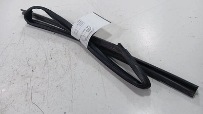 Nissan Rogue Door Glass Window Seal Rubber Right Passenger Rear Back 2014 2015 2
