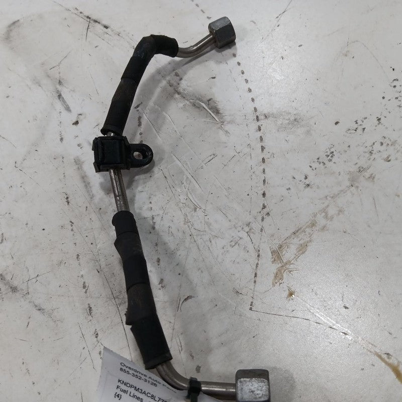Kia Sportage 2.4 Gas Fuel Line  2022 2021 2020 2019 2018