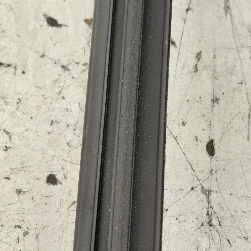 Cadillac CT6 Left Rear Weather Strip Interior  2018 2017 2016