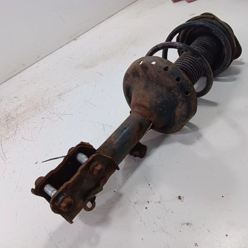 Passenger Right Front Strut Wagon Fits 15-17 Subaru Legacy OEM