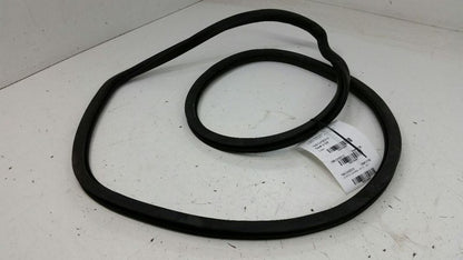 Dodge Dart On Body Door Jamb Seal Gasket Rear Left Back OEM 2013 2014