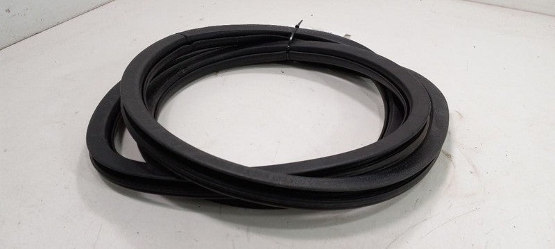 Chrysler 200 On Body Door Jamb Seal Rear Left Back 2015 2016 2017 OEM