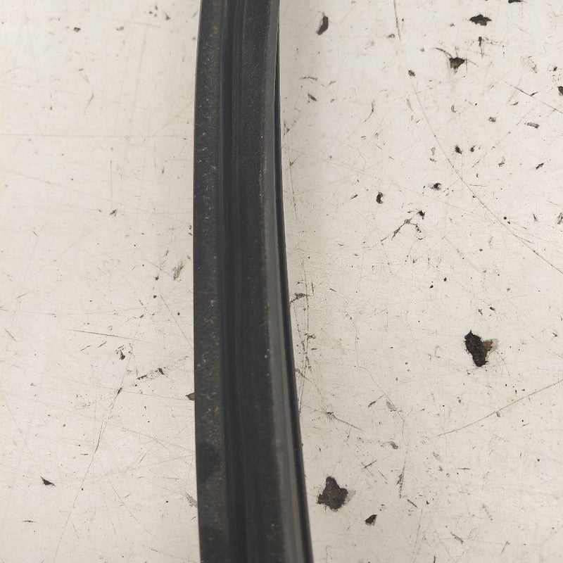 Ford Edge Door Glass Window Seal Rubber Left Driver Rear Back  2019 20