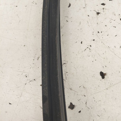 Ford Edge Door Glass Window Seal Rubber Left Driver Rear Back  2019 20