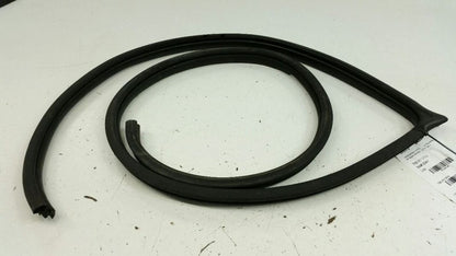 Hyundai Elantran Body Door Jamb Seal Front Right Passenger 2010 2009 2008 2007