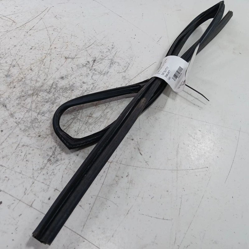 Subaru Forester Door Glass Window Seal Rubber Left Rear Back  2016 201