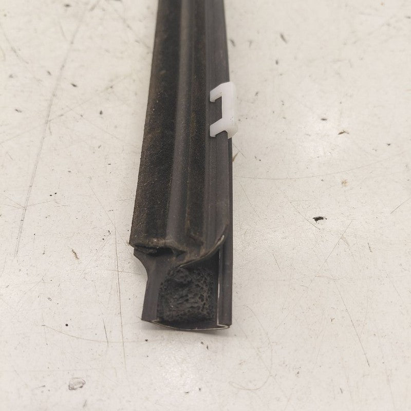 Hyundai Kona Door Glass Window Weather Strip Trim Front Right Passenge