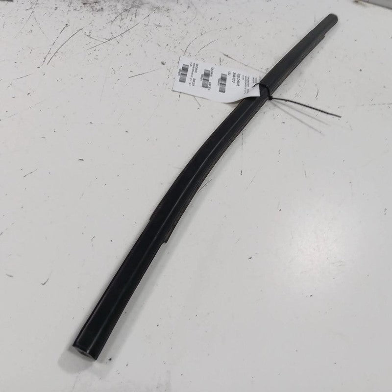Jeep Compass Door Glass Window Weather Strip Trim Rear Left Back 2018 