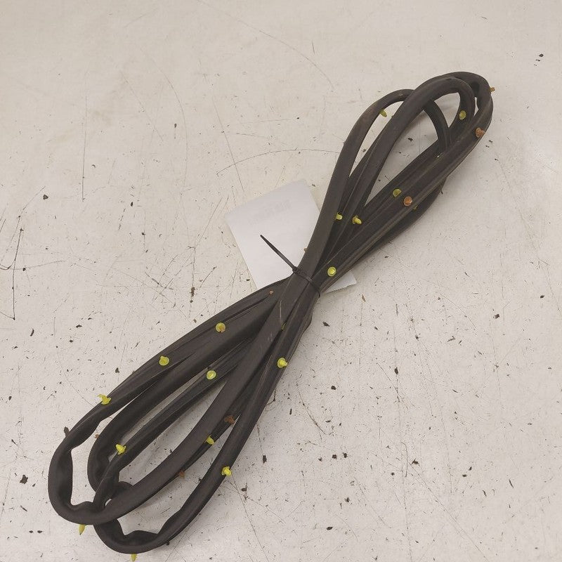 Chevy Equinox On Door Seal Rubber Left Driver Front  2024 2023 2022