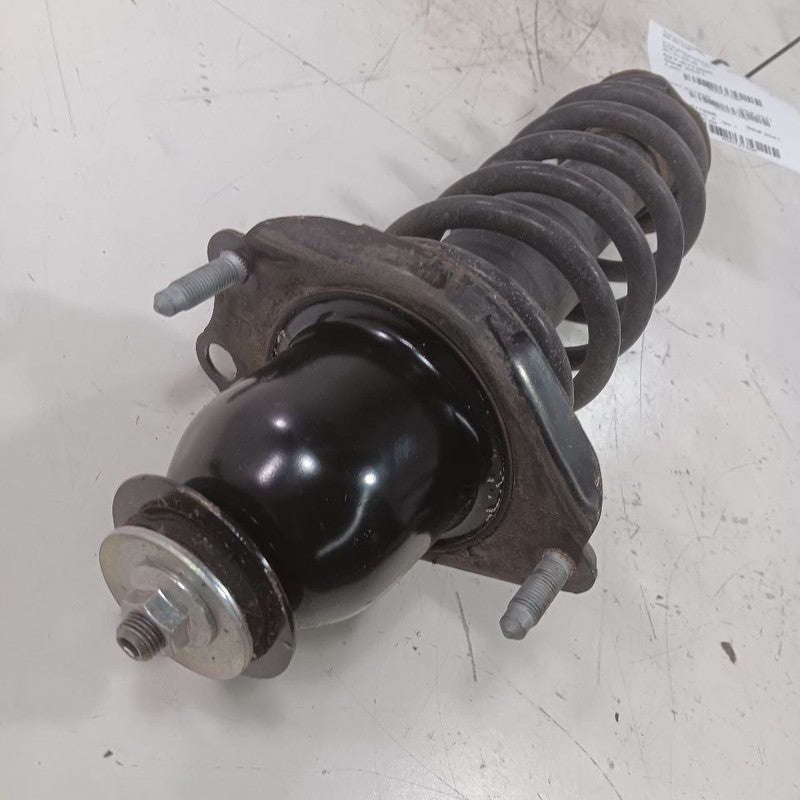 Passenger Right Strut Sedan Rear Fits 14-19 Toyota Corolla