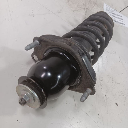 Passenger Right Strut Sedan Rear Fits 14-19 Toyota Corolla